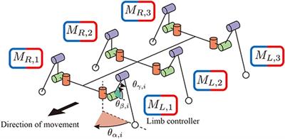 Adaptive Interlimb Coordination Mechanism for Hexapod Locomotion Based on Active Load Sensing